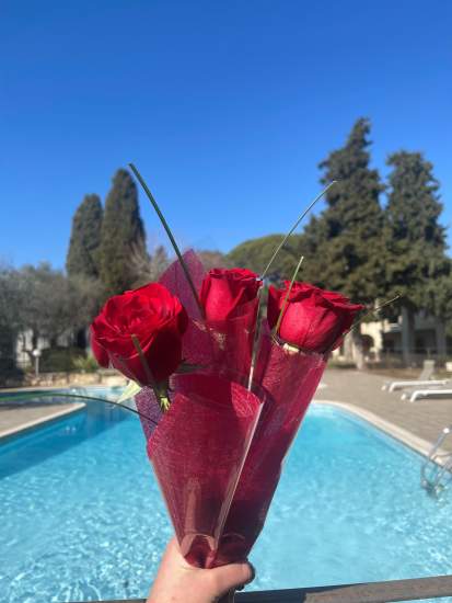 Roses