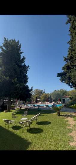 jardin, verdure, piscine